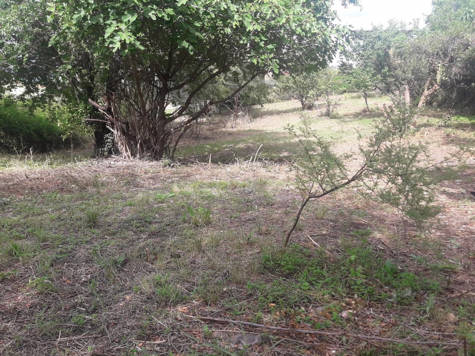 TERRENO A 40m de Ruta - SANTA CRUZ DEL LAGO