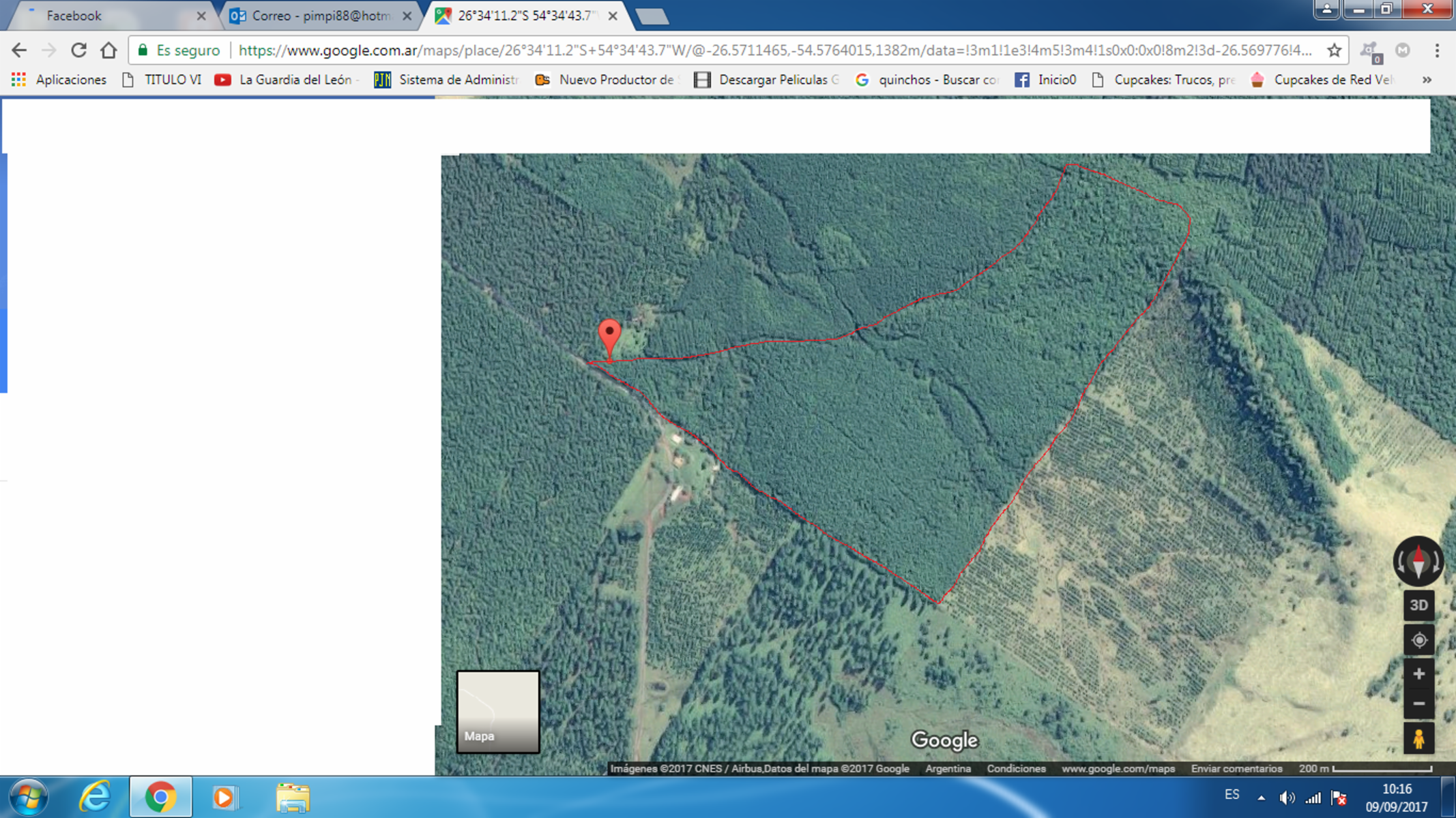 Vendo campo de 37 has forestado con pino taeda de 12 años,