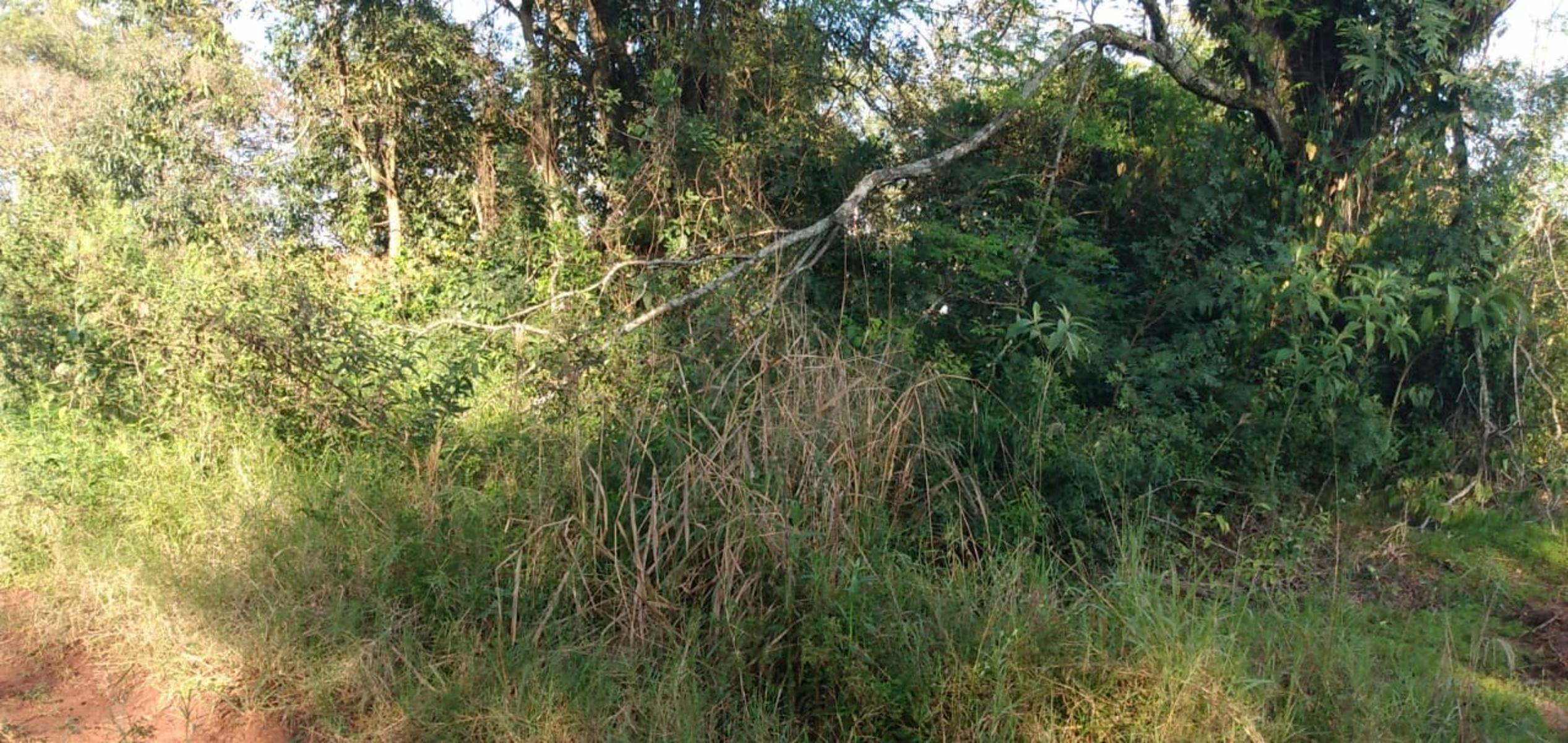 Se vende Terreno con Titulo