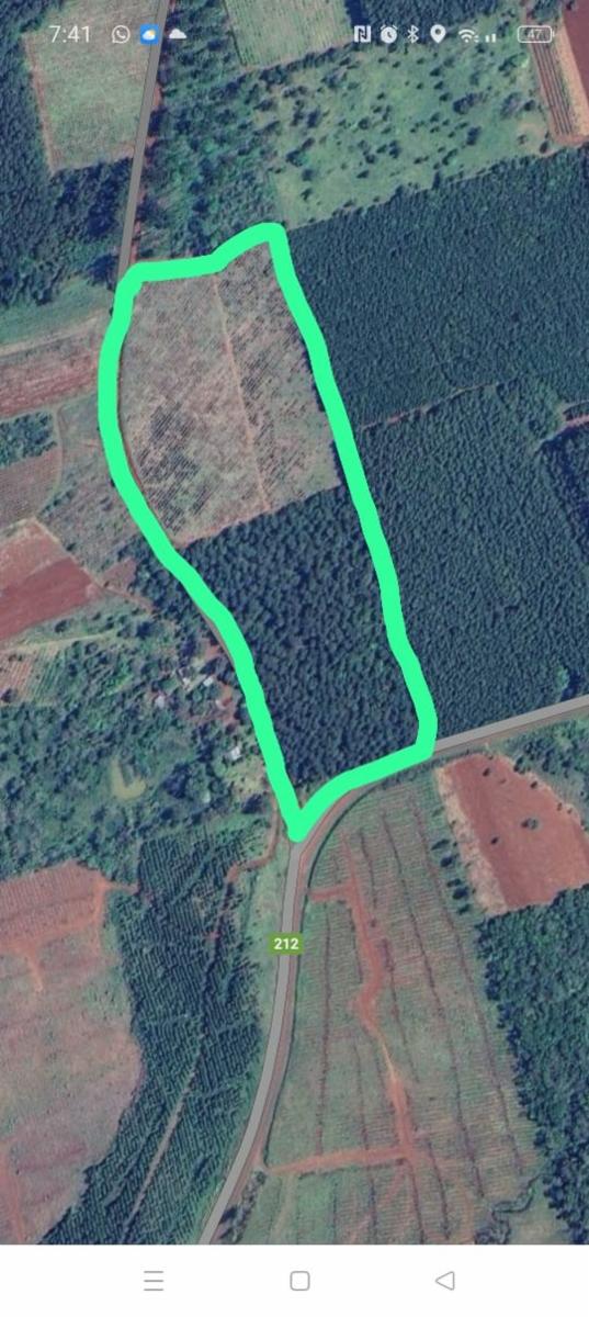 Chacra de 8 has en Venta