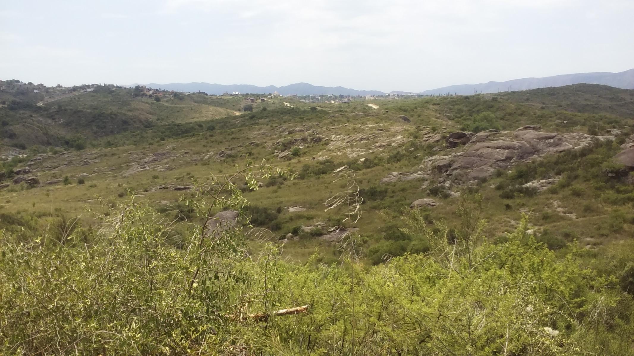 ESPECTACULAR TERRENO DE 11 HECTAREAS