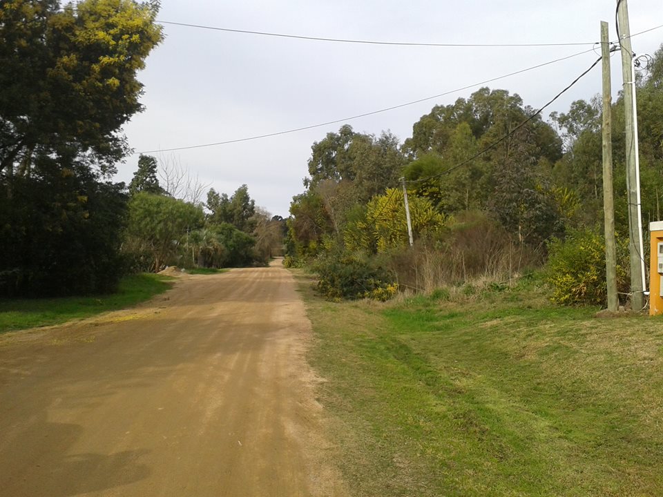 Imágenes