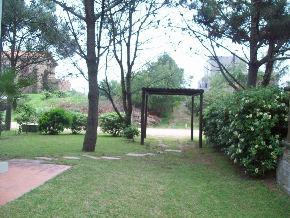 Imagens
