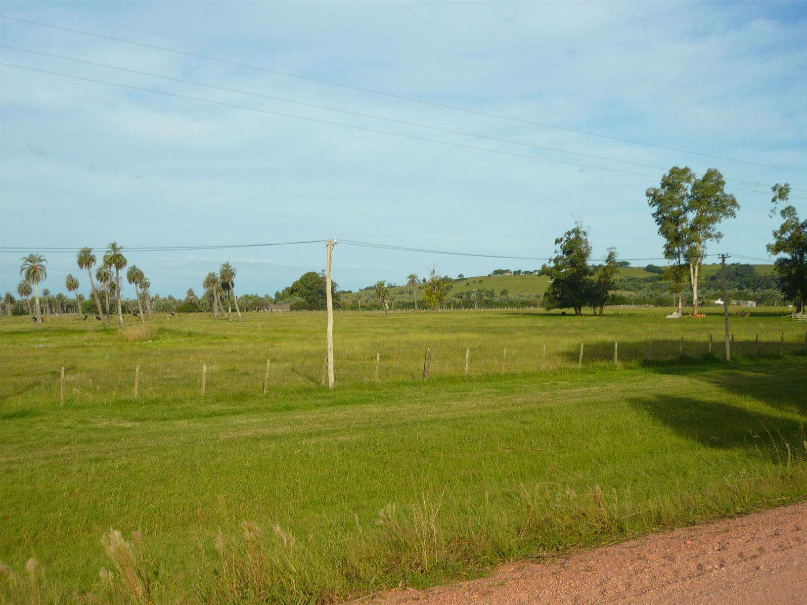 Imágenes