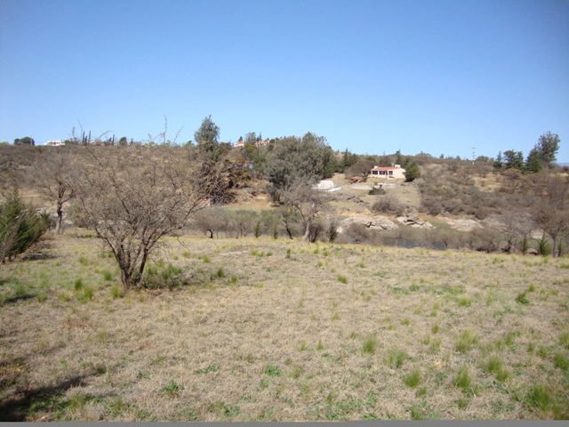 Images