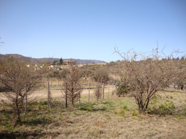 Images