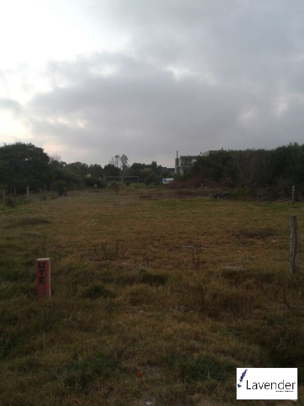 Imagens