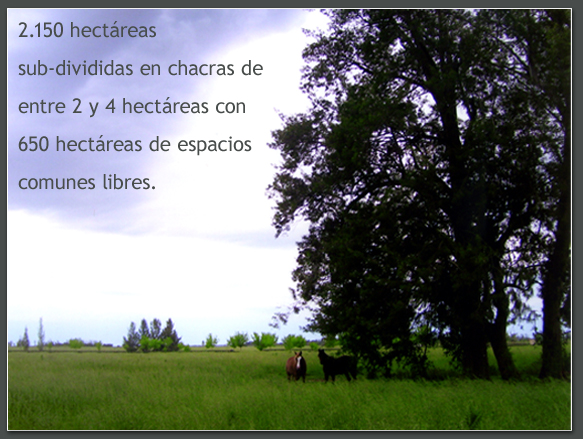 Imágenes