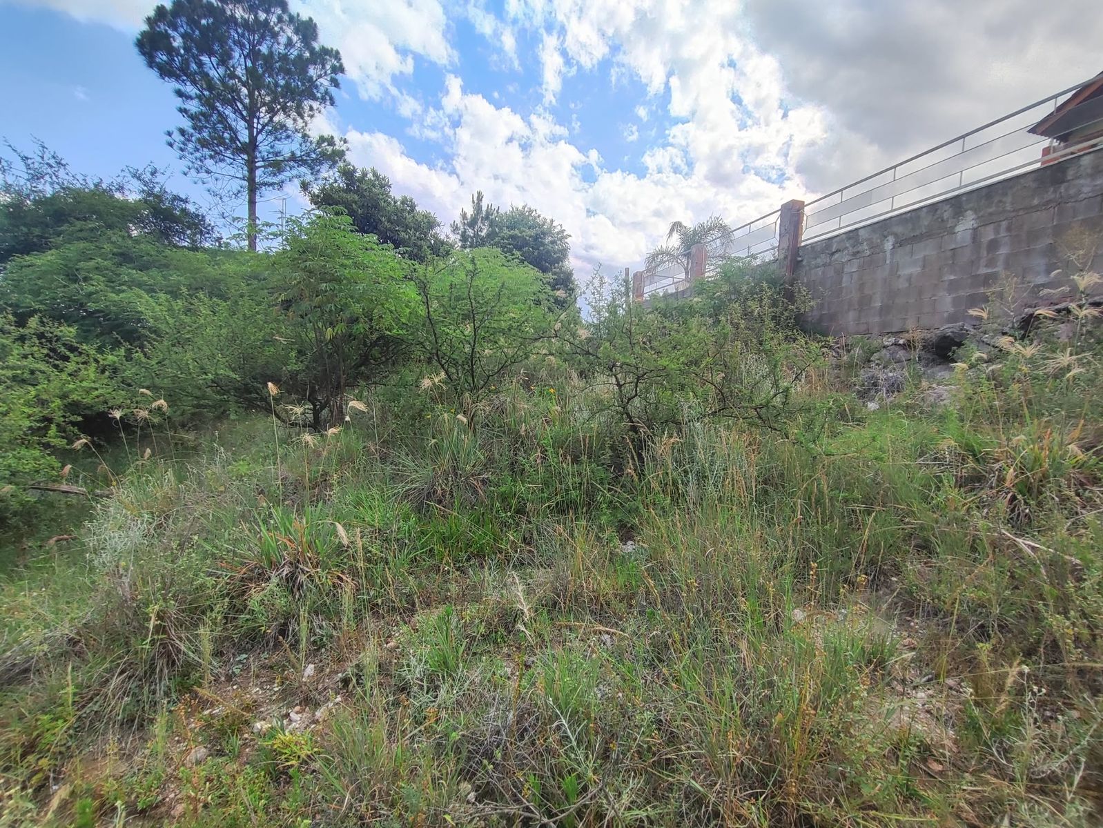 TERRENO EN VENTA EN SAN ANTONIO DE ARREDONDO, CORDOBA