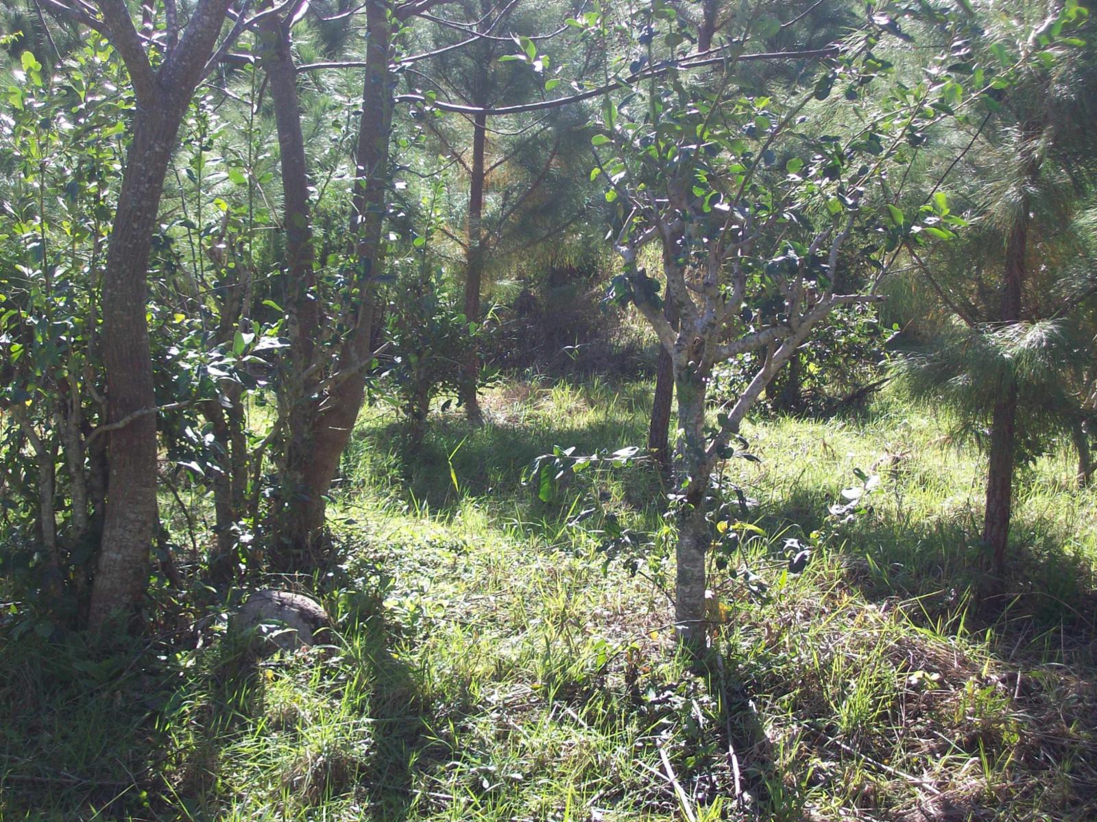 ***SE VENDE CASA CÉNTRICA *** SE ESCUCHAN OFERTAS.