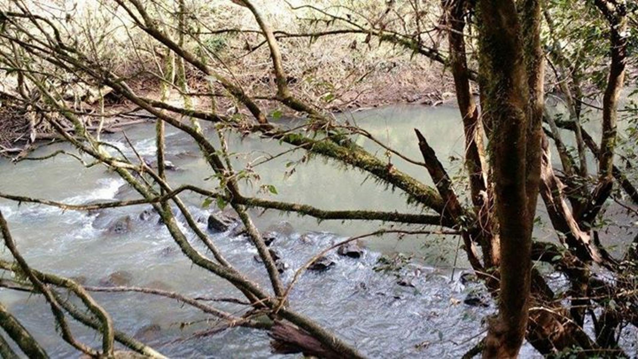 SE VENDE CHACRA EN ARROYO DEL MEDIO $1.200.000