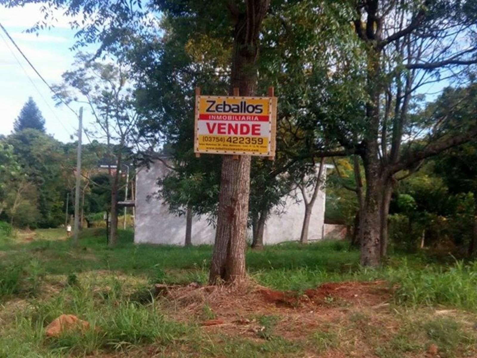 Imagens