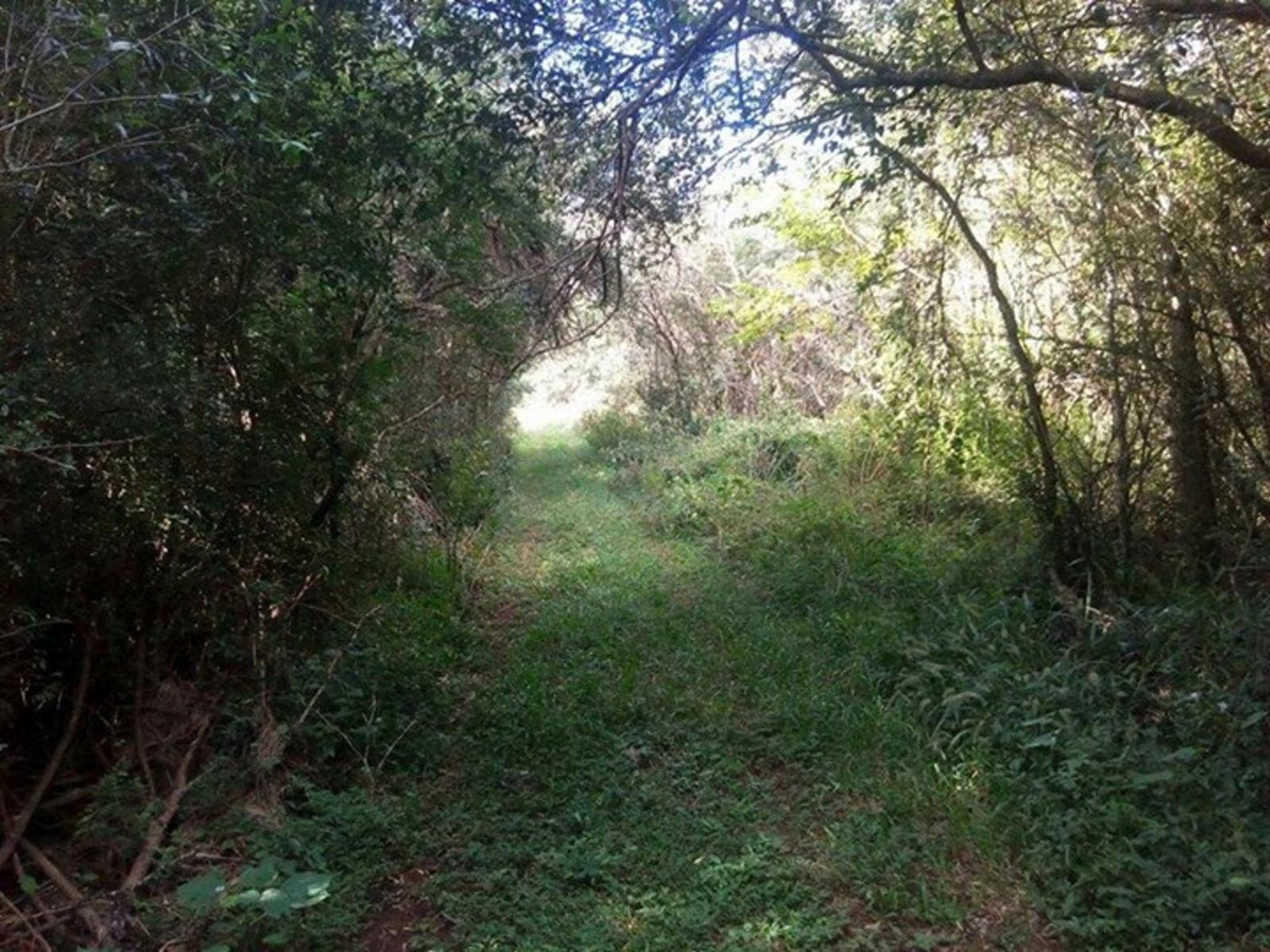 *SE VENDE CHACRA CERCA DE LA RESERVA ECOLÓGICA** 1.700.000