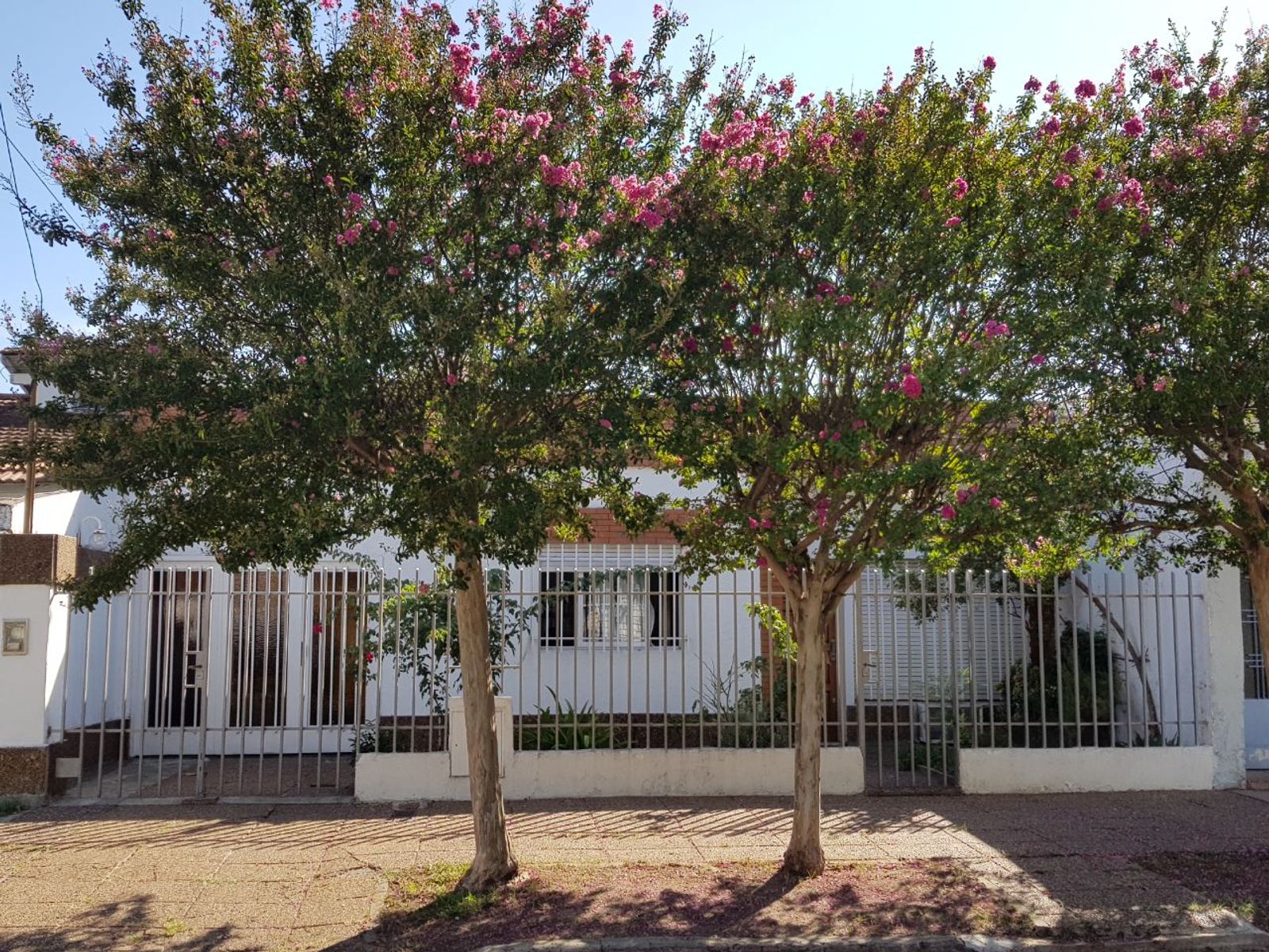 CASA AMERICANA 3 AMBIENTES S/LOTE DE 10 X 21 -  EXCELENTE UBICACION