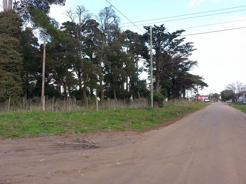 Imágenes