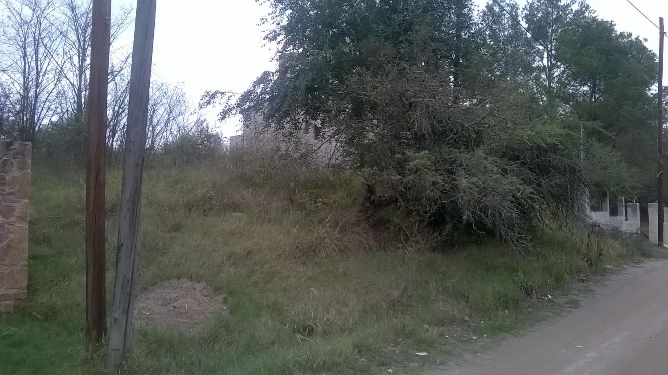 HERMOSO LOTE , en san antonio de arredondo, a 1 cuadra de la ruta, municipalidad, dispensario, con todos los servicios, alumbrado publico, MUY BUEN ENTORNO