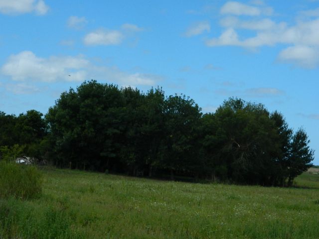 Hermoso Campo en Venta de 65 hectareas. EL VALOR ES POR CADA HECTAREA 