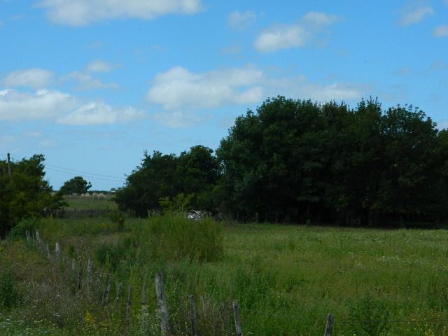 Images