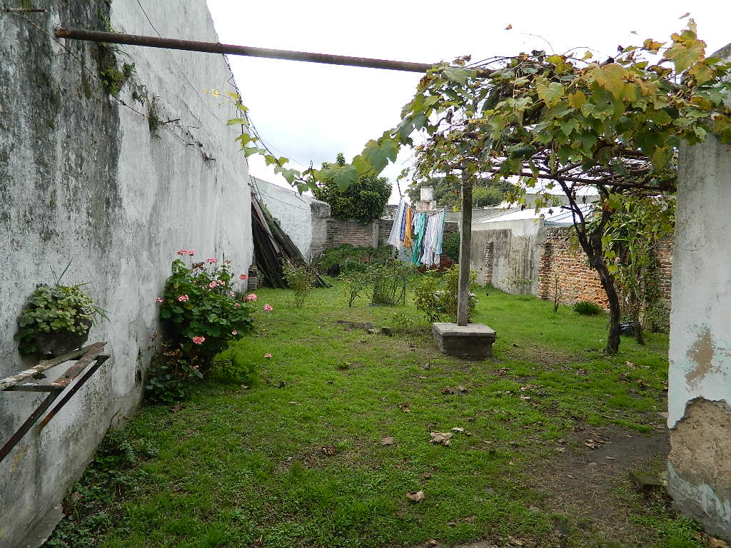 Images