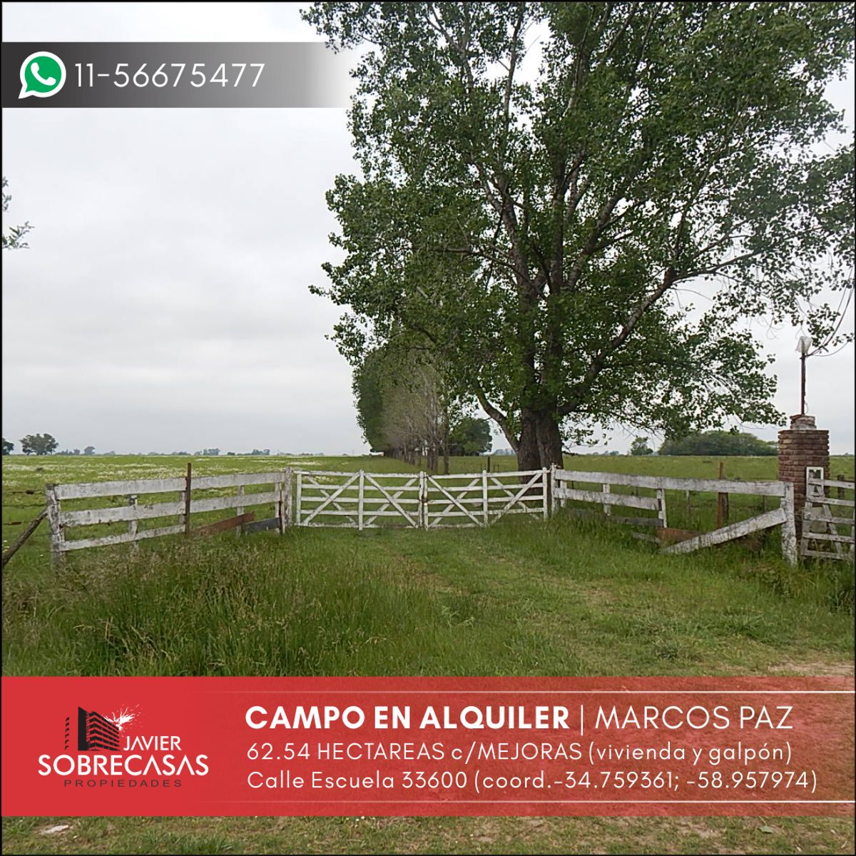 CAMPO EN ALQUILER 62has c/mejoras - Marcos Paz - Pcia. Buenos Aires