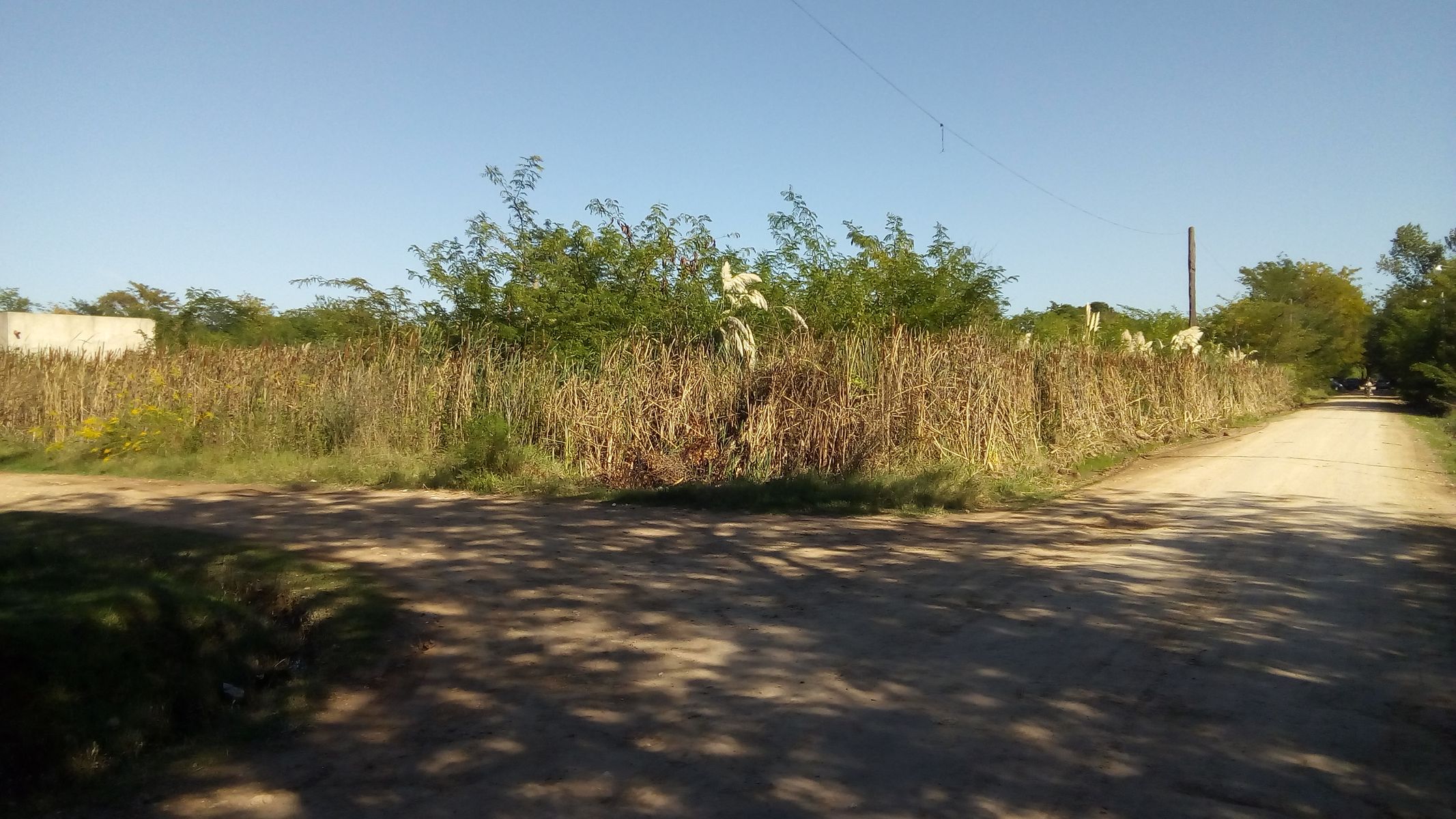 Imágenes
