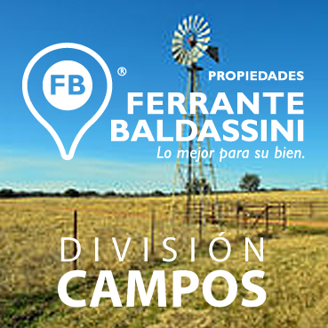 CAMPO AGRÍCOLA EN SAAVEDRA, BUENOS AIRES DE 319 HECTÁREA