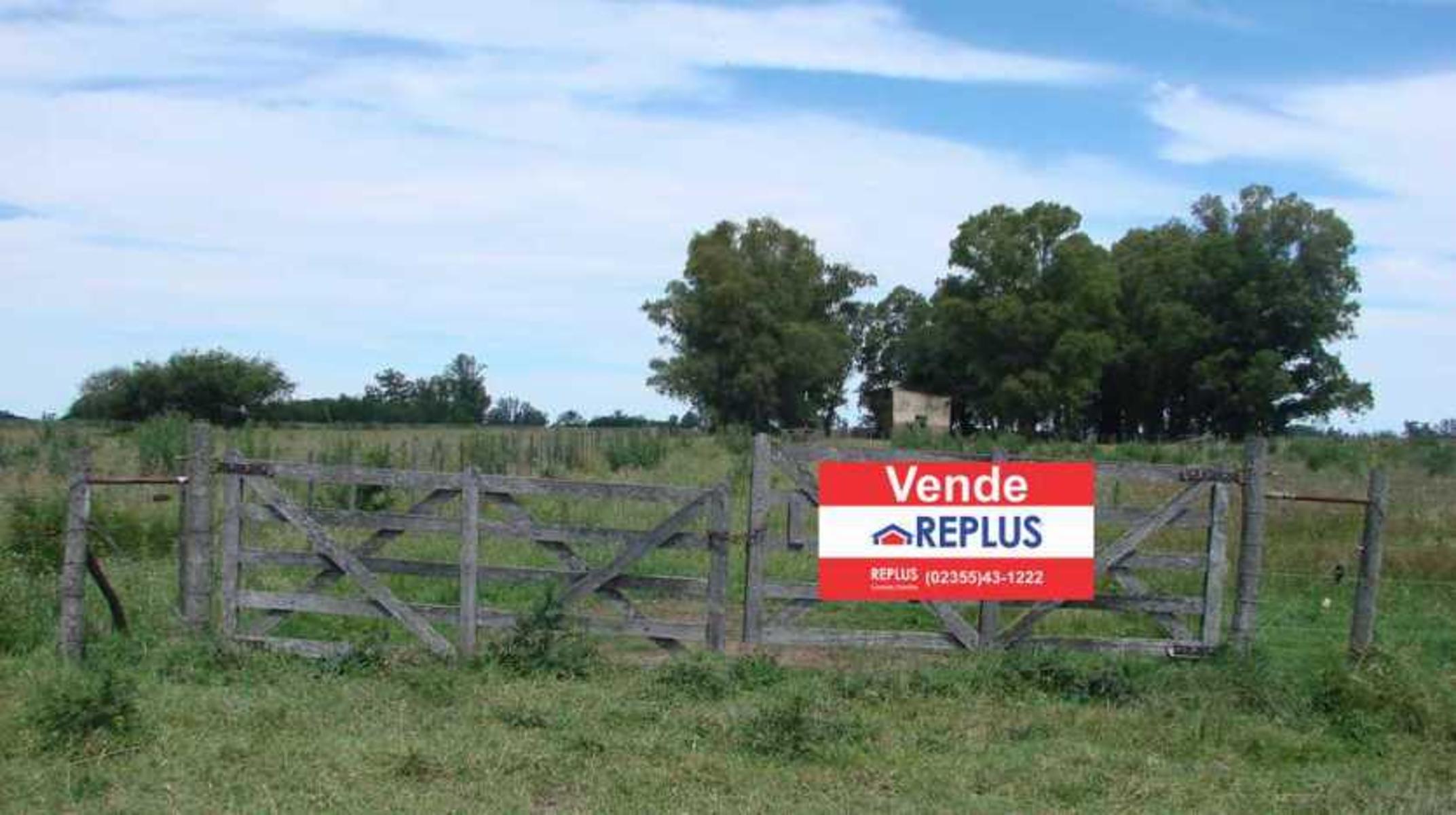 CAMPO EN VENTA EN LINCOLN