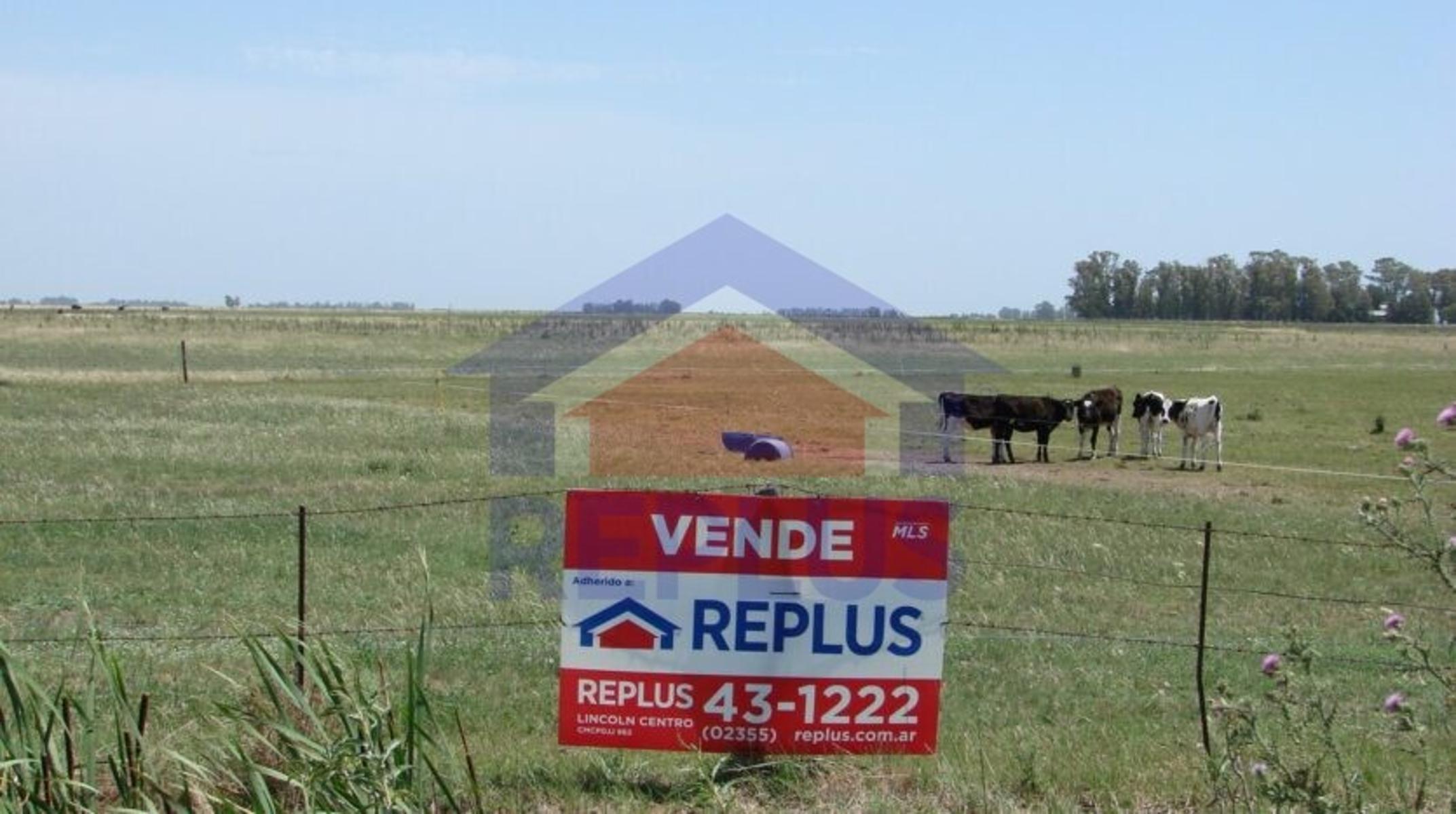 EXCELENTE CAMPO DE 42 HECTÁREAS GANADERO EN VENTA EN PEHUAJO