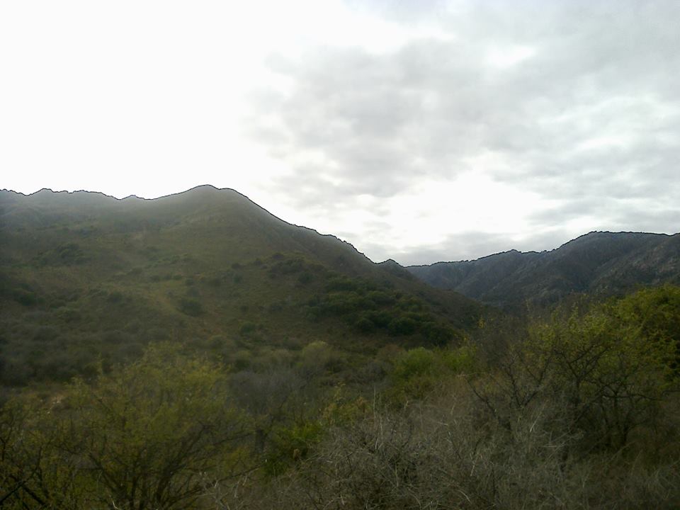 Images
