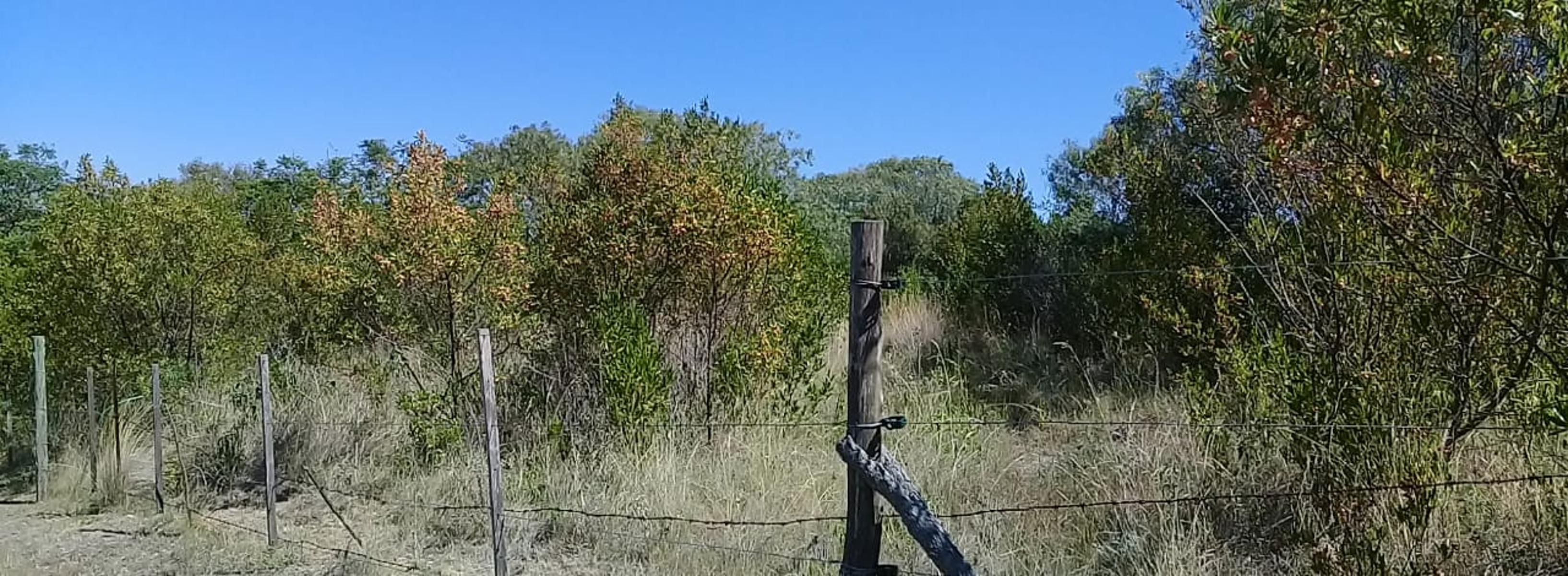 Imágenes