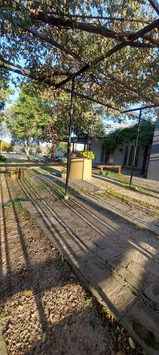 Imagens