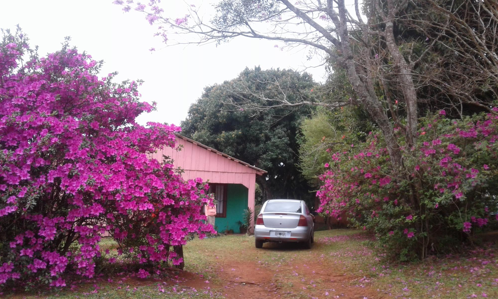 VENDO CASA EN ARISTOBULO DEL VALLE, MISIONES