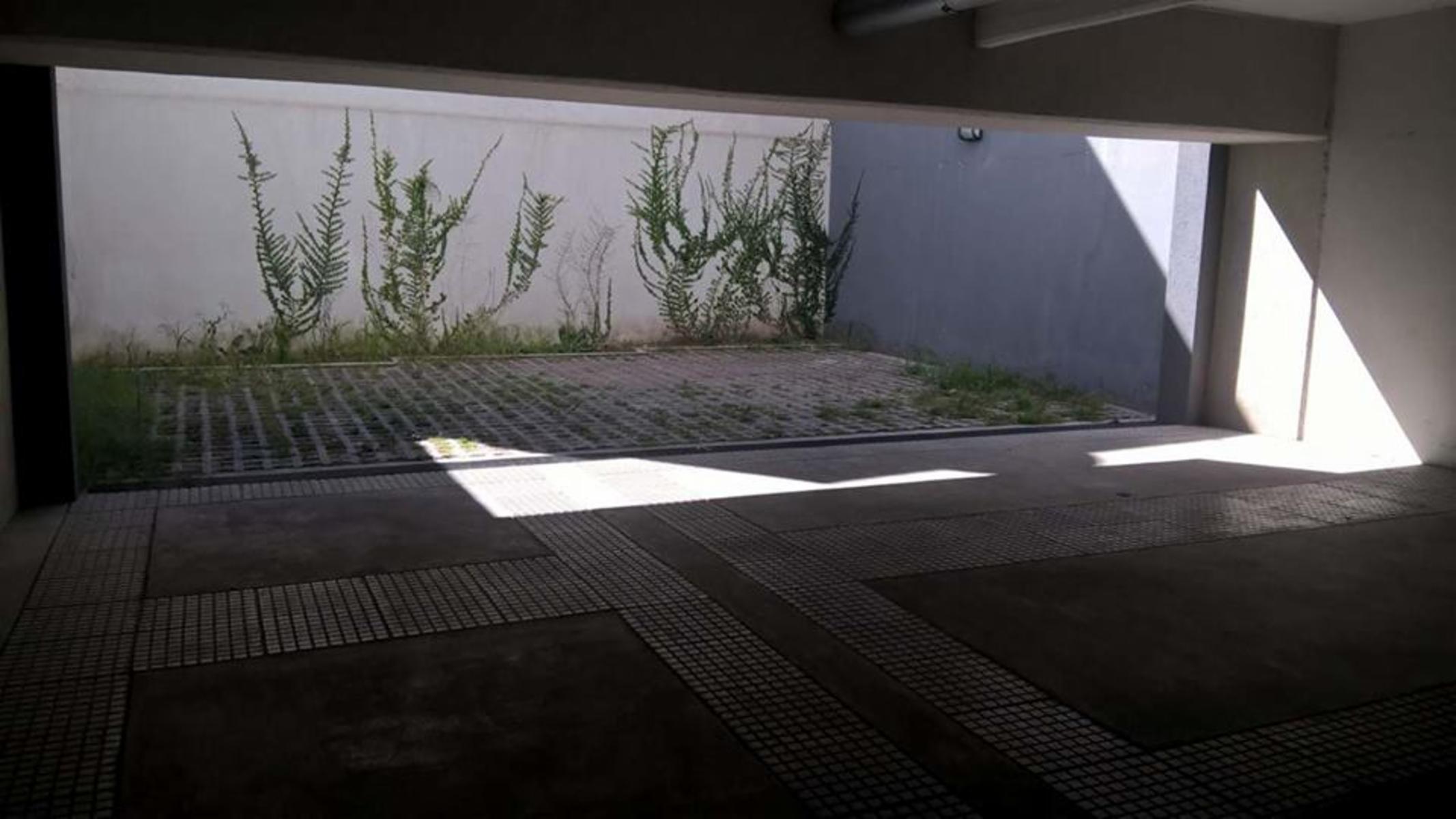Imagens