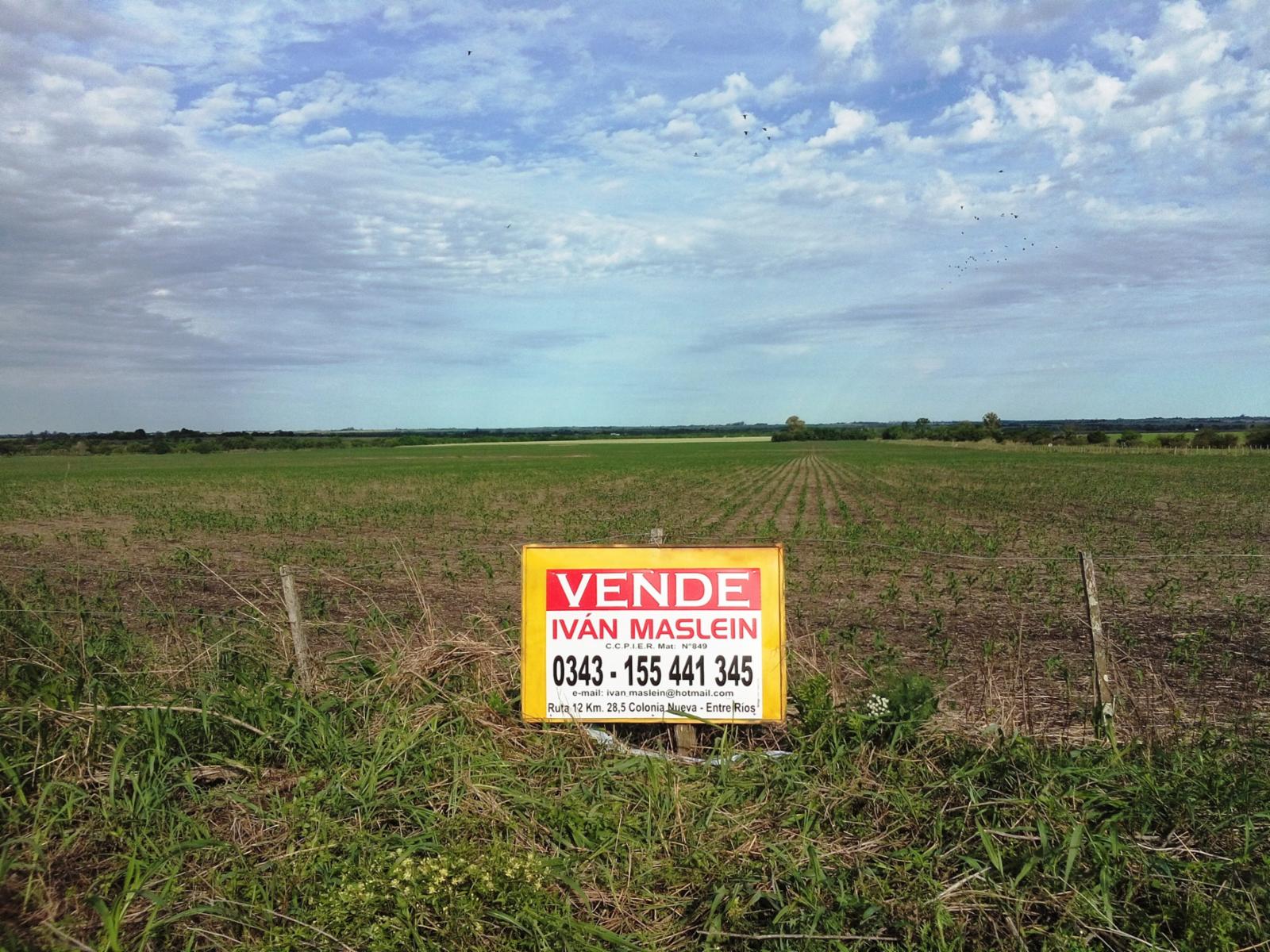 VENDO EXCELENTE CAMPO
