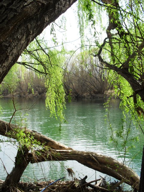 Images
