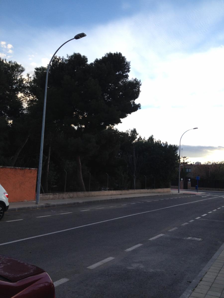 Images