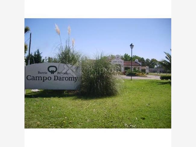 CAMPO DAROMY