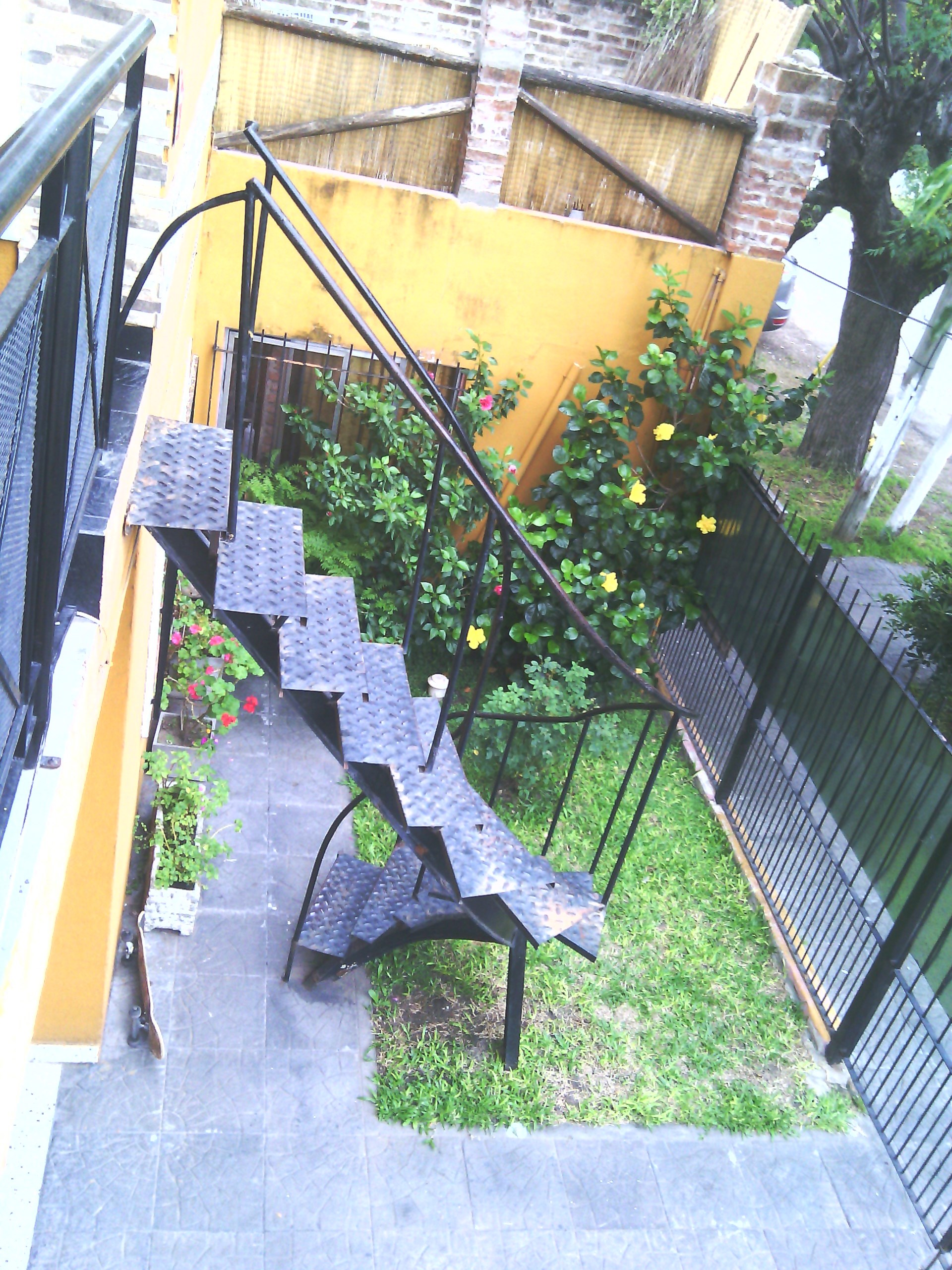 Imagens