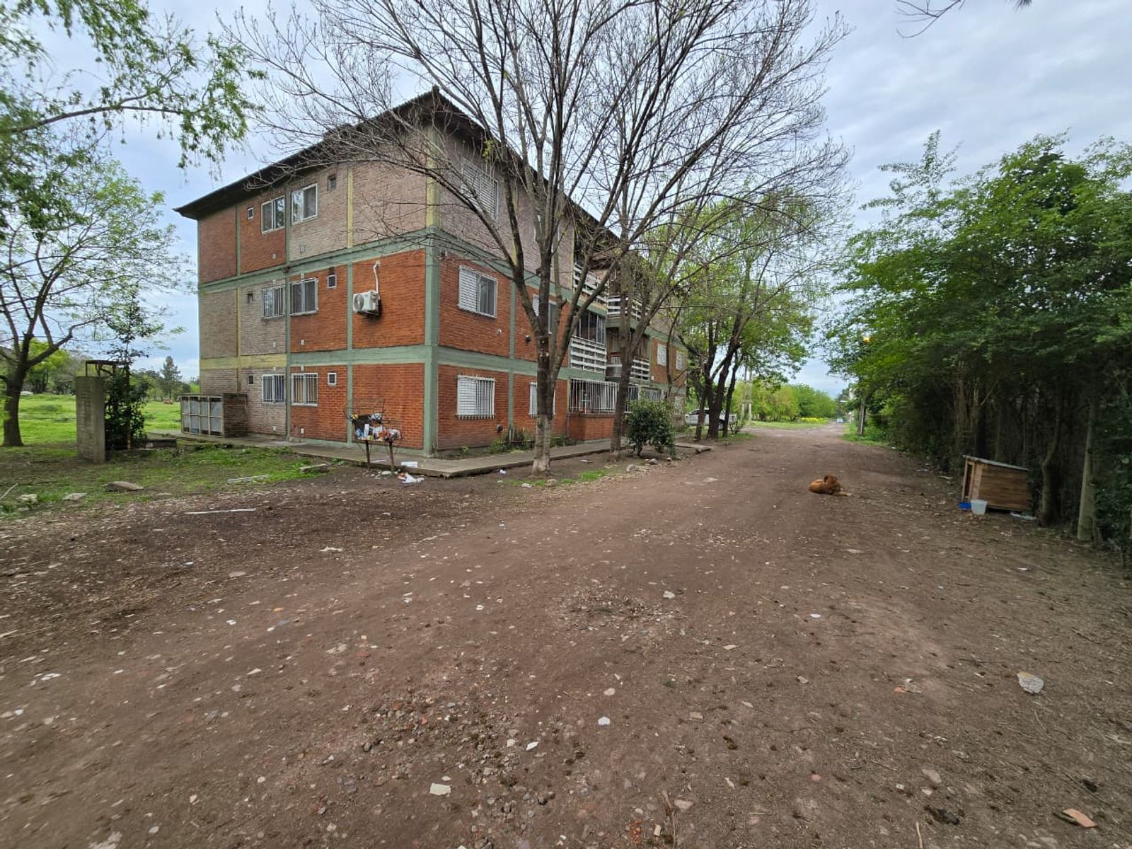 Imágenes