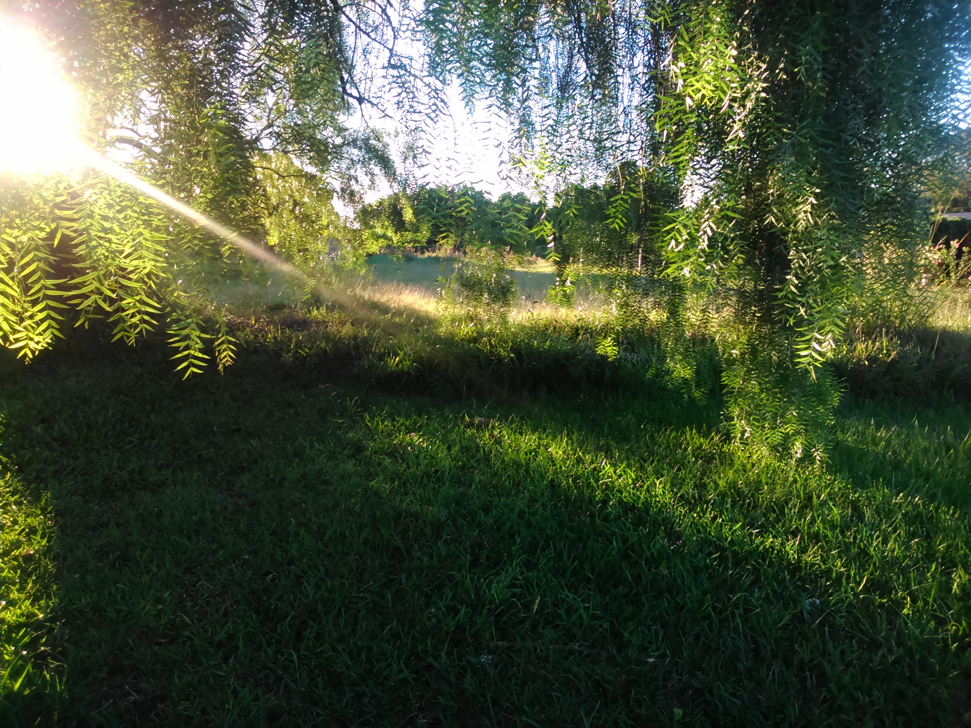 SE VENDE TERRENO EN APÓSTOLES MISIONES