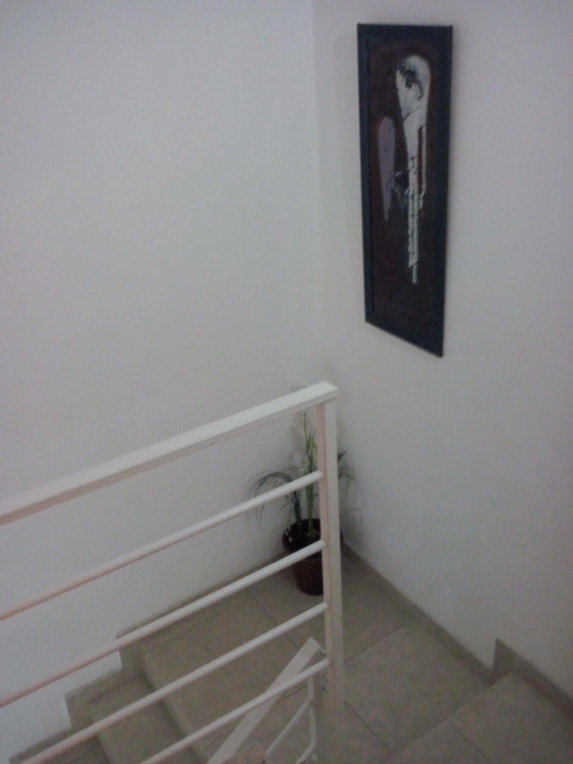 Imagens