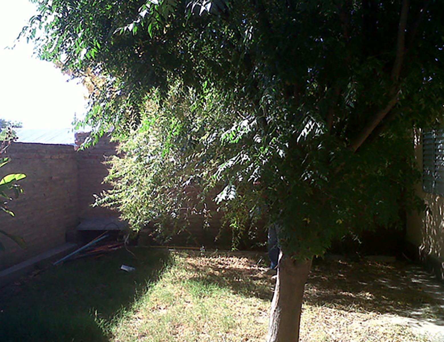Images