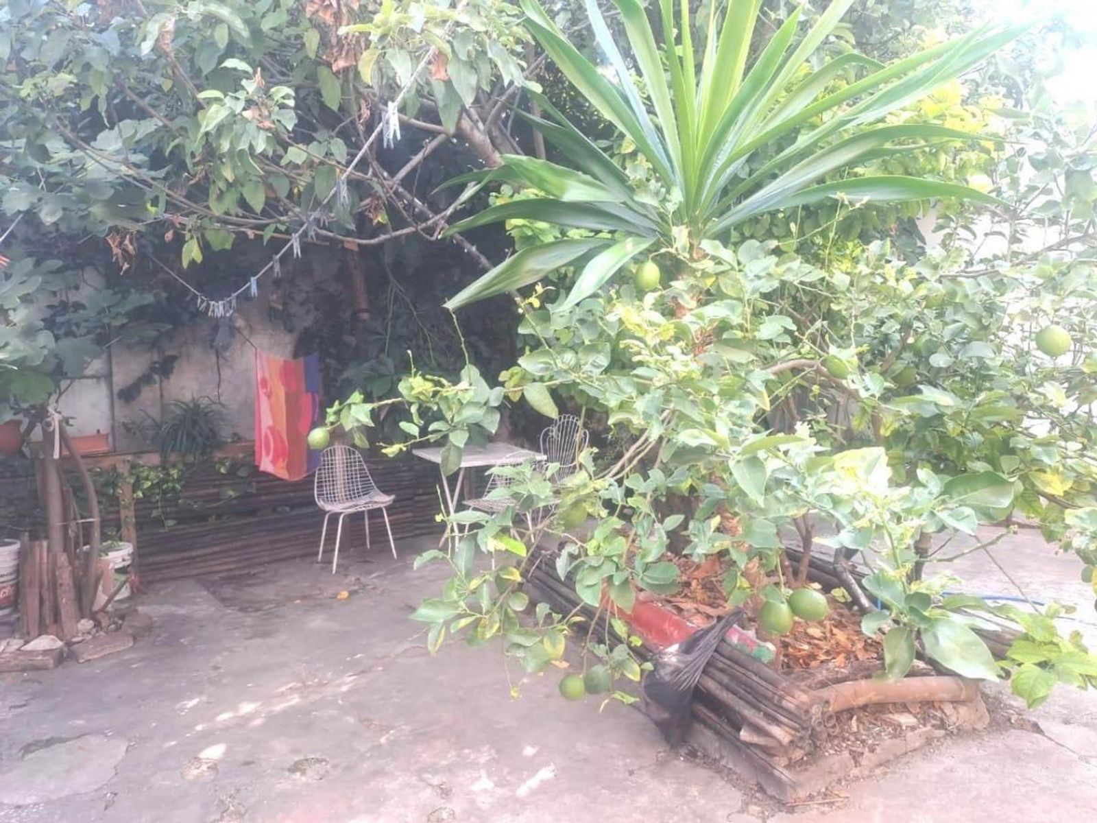 Images