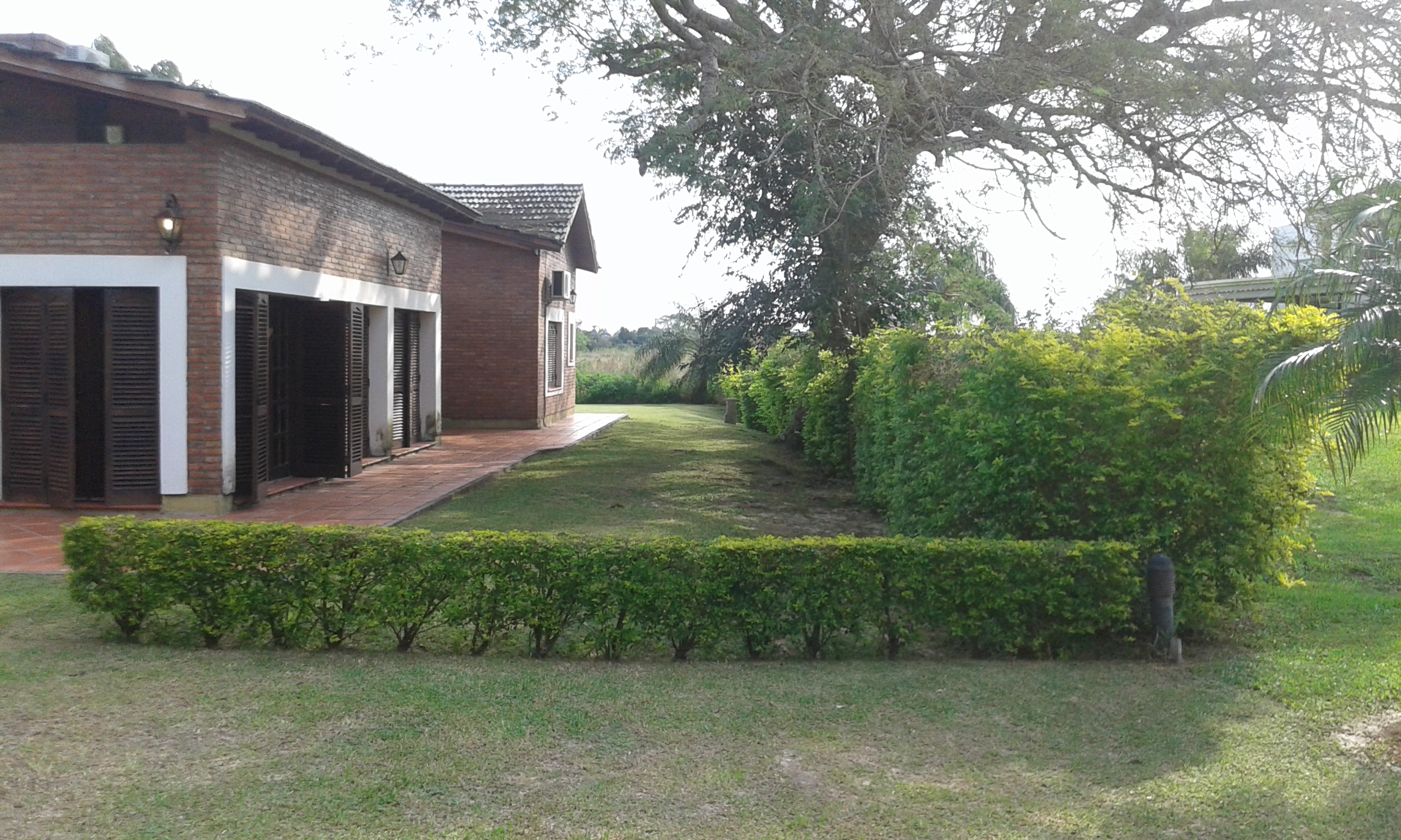 Imagens