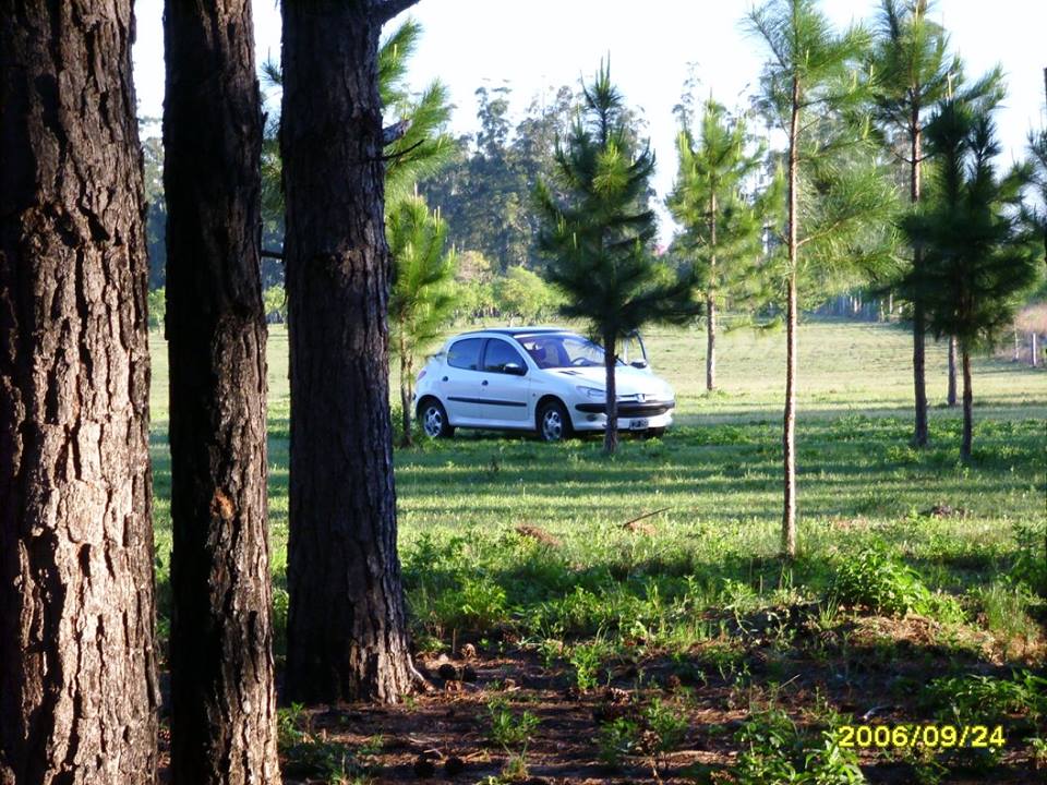 Images