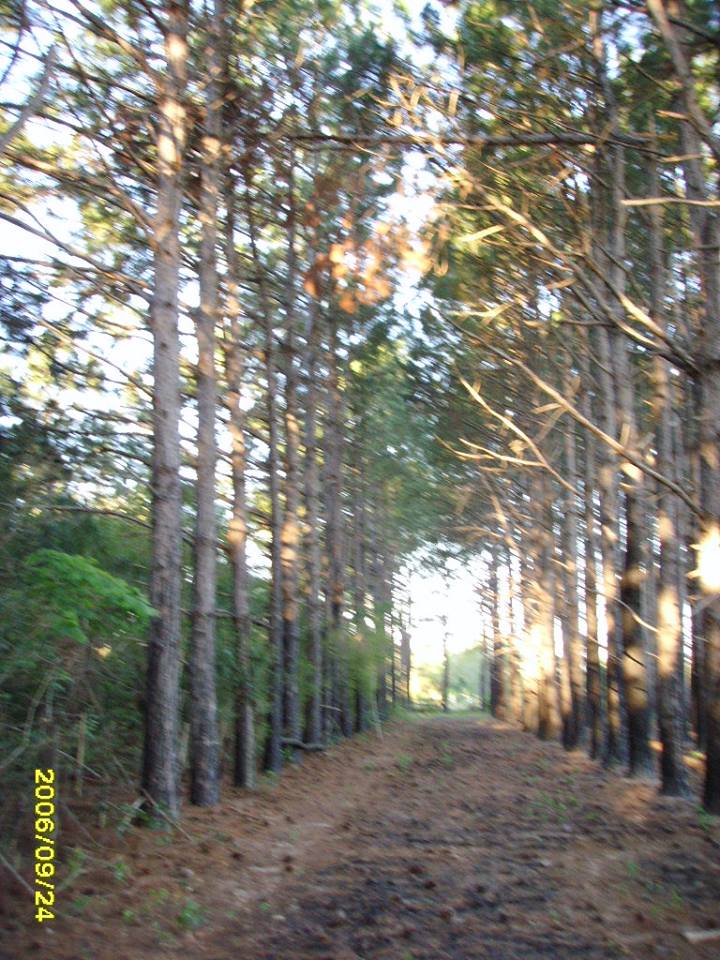 Images