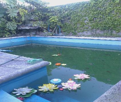Imagens