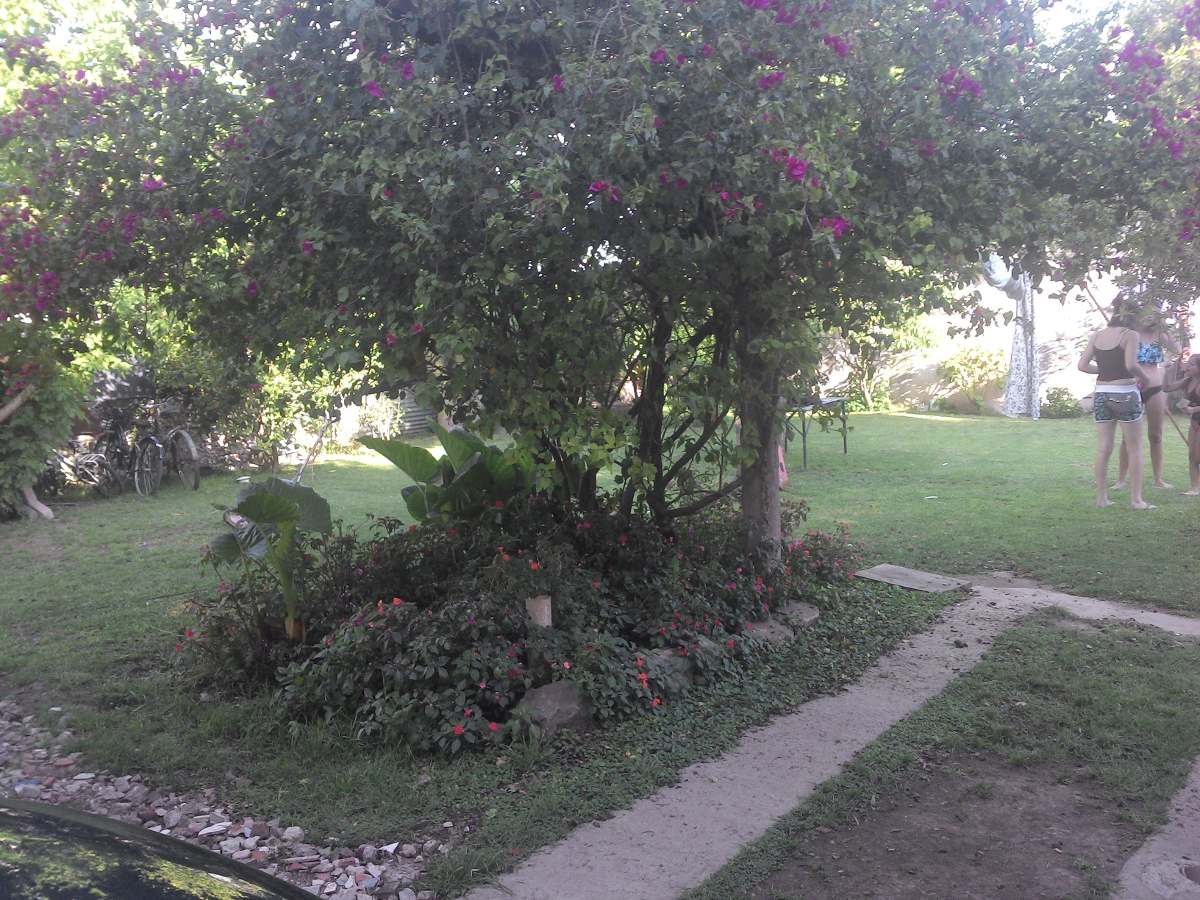 Imagens