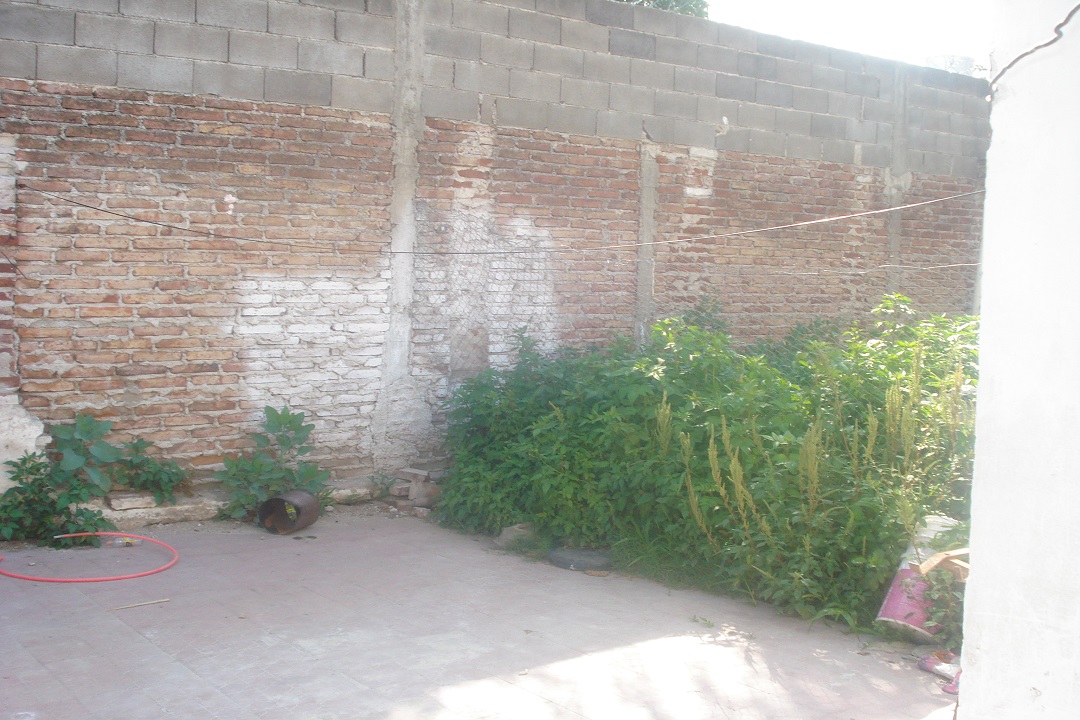 Images