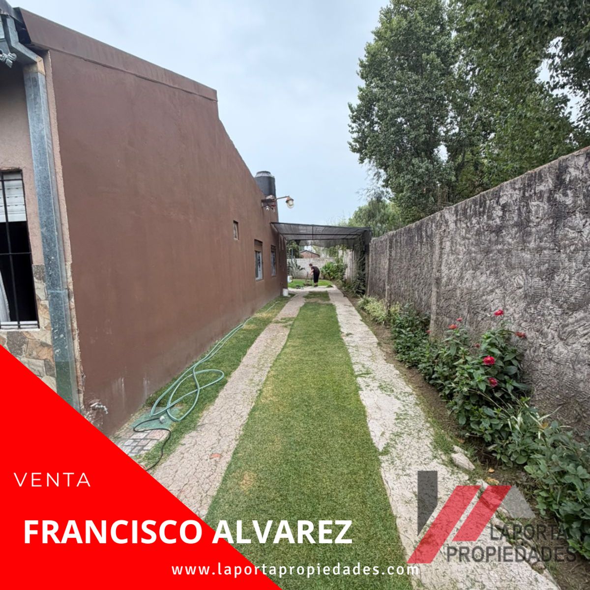 Imágenes